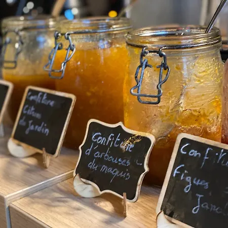 Le Grillon Hotel LʼÎle-Rousse