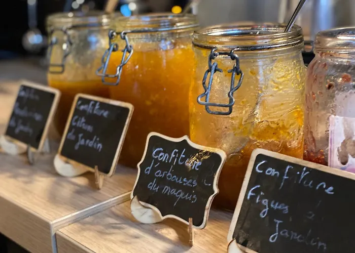 Le Grillon Hotel LʼÎle-Rousse